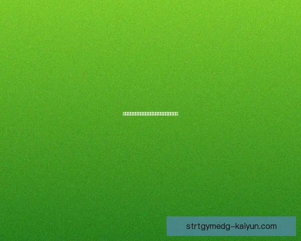 德甲弗赖堡引援动态分析，球队未来发展备受关注